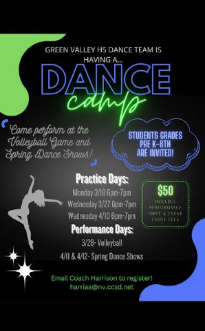 Dance Team Auditions/Camp